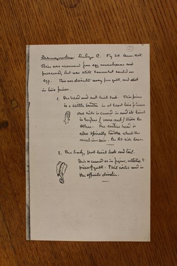 Media type: image;   Special Collections 4350 shows cataloged_item 4351 shows cataloged_item 4352 shows cataloged_item 4353 shows cataloged_item 4354 shows cataloged_item 4355 shows cataloged_item 4356 shows cataloged_item 4357 shows cataloged_item 4358 shows cataloged_item 4359 shows cataloged_item 4360 shows cataloged_item 4361 shows cataloged_item 4362 shows cataloged_item 4363 Description: Documentation photo of Wilder folder/label B2;